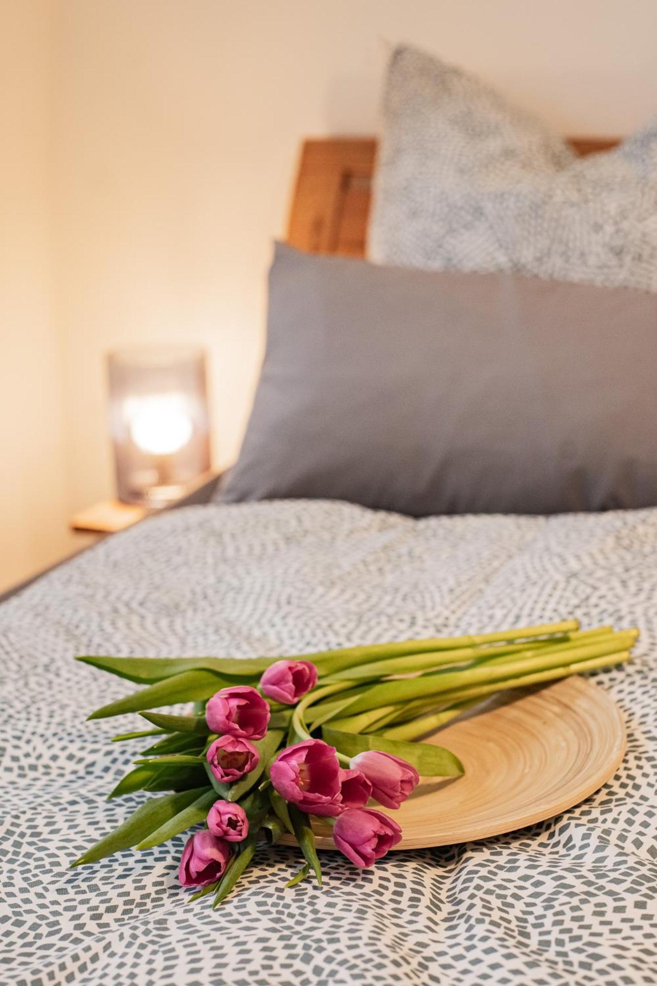 Holly Gmbh Ferienwohnungen Bad Alexandersbad Exteriér fotografie